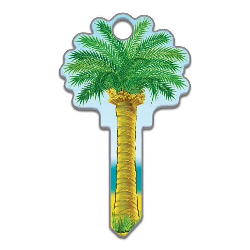 Palm | Key Shapes